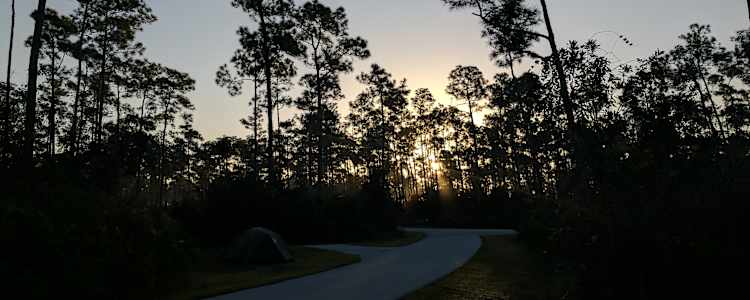 Best Camping In And Near Everglades National Park