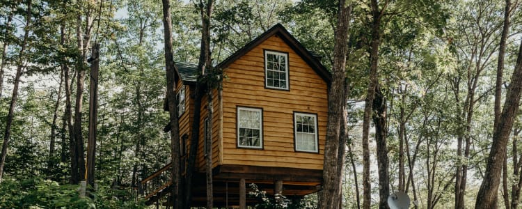 Maine Treehouse Rentals Camping