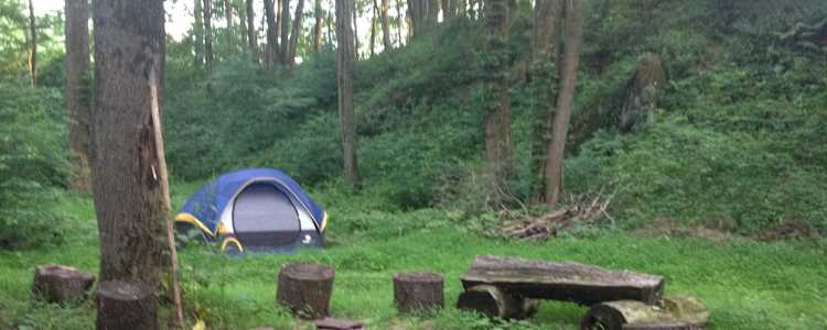 Hawk Shadow Farm Camping