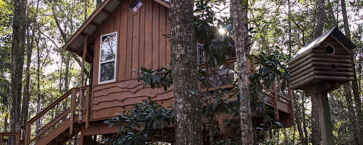 Treehouse Cabin Retreat Camping