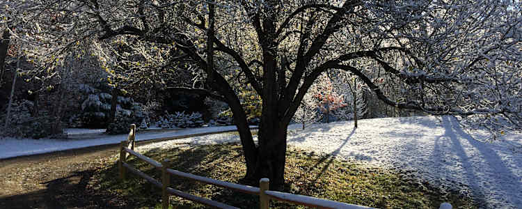 Crooked Creek Hollow Farm Camping