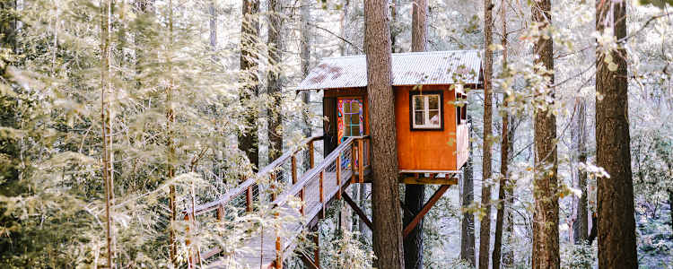 Pine Grove Cobb Resort Camping