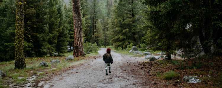 Best Camping In And Near Boise National Forest