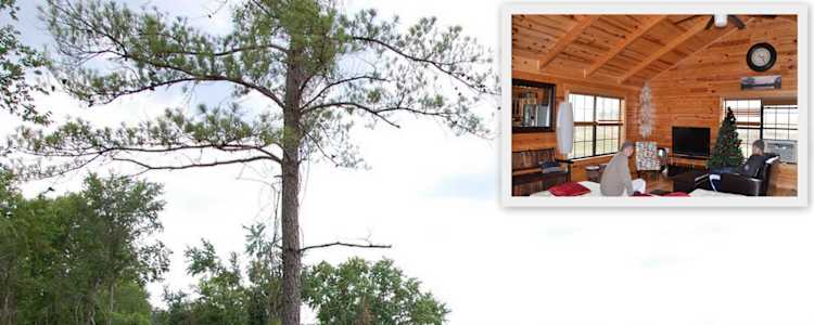 Getaway Camp And Cabin Camping