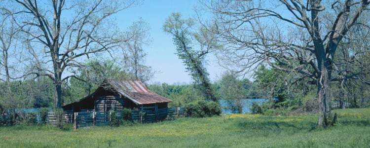 Best Camping In And Near Cane River Creole National Historical Park