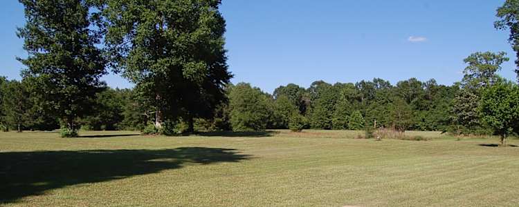 Big Thicket Camping Camping