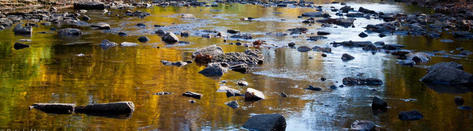 20 Best Campsites in and Near Kankakee River State Park