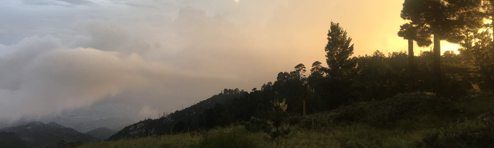 Best Camping In And Near Coronado National Forest