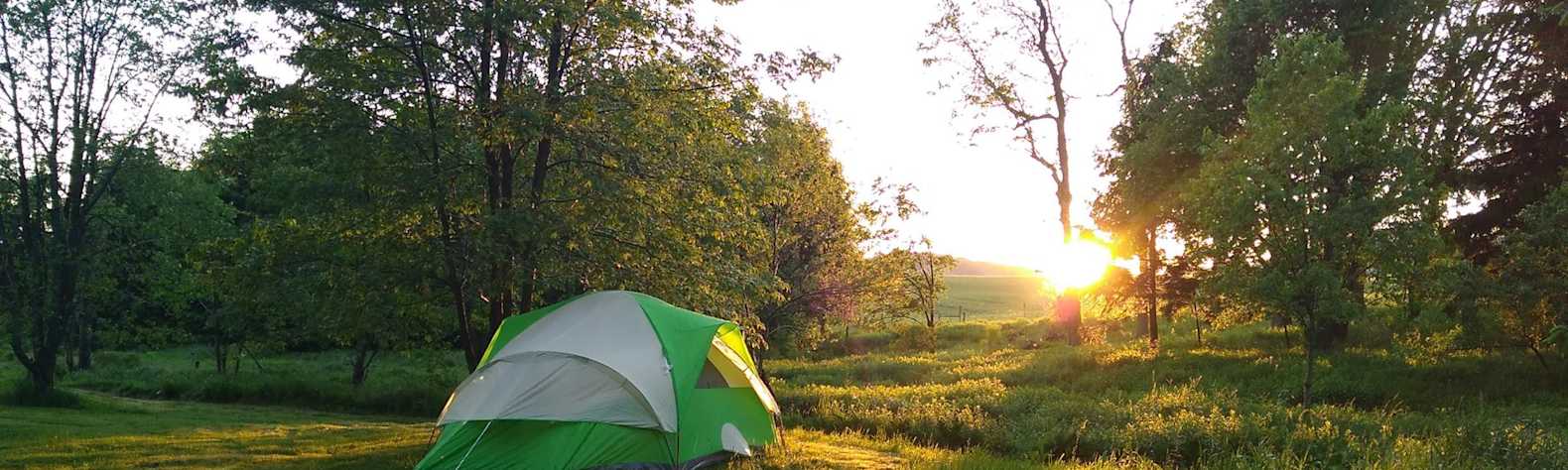 Possum Tail Farm Camp Camping