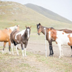 Hipcamp host Chanslor Ranch