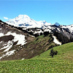Hipcamp host Mt. Baker Lodging
