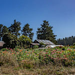 Hipcamp host Fortunate