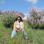 Hipcamp host Philomina D.