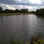 Hipcamp host Rayburn R.