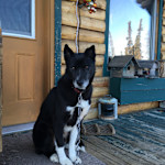 Hipcamp host Kyia B.