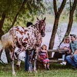 Hipcamp host Clearview Farm M.