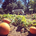 Hipcamper Doreen