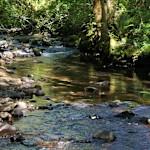 Hipcamp host Powder Creek R.