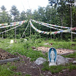 Hipcamp host Alden S.