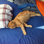 Hipcamp host Boone