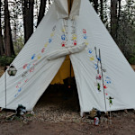 Hipcamp host Terri H.