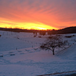 Hipcamp host Dun Roamin Farm M.