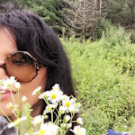 Hipcamp host Afsana K.