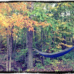 Hipcamp host Courtney K.