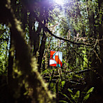 Hipcamp host Cedar + Fern C.