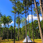 Hipcamp host Whistling Trees Farm R.