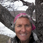 Hipcamp host Laurie C.