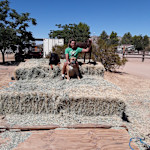Hipcamp host Norma V.