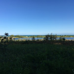 Hipcamp host Little Traverse Bay Bands Of O.