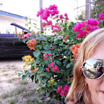 Hipcamp host Lynn R.