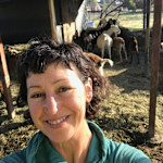 Hipcamp host Deborah B.
