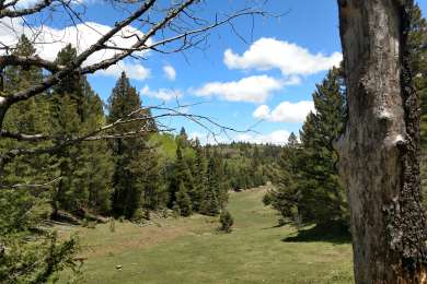 Best Camping in and Near Franklin Mountains State Park