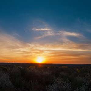 Sunrise over the Roadrunner flat primitive campground in April 2014.