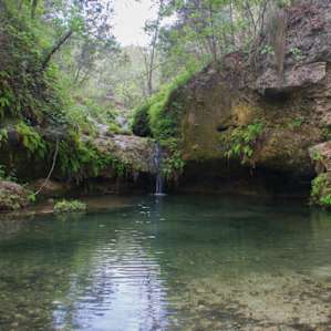 Pedernales Falls spring