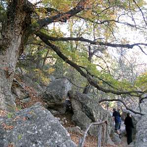 hiking trail