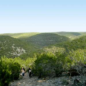 nice view of the Hill Country