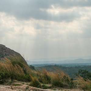 hill country sun rays