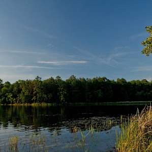 Views of the lake from the end of the Red Oak Campground