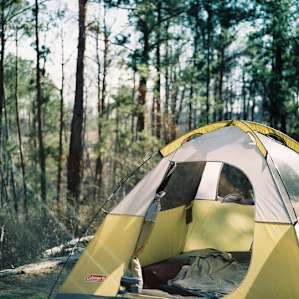 tent forest lodging
