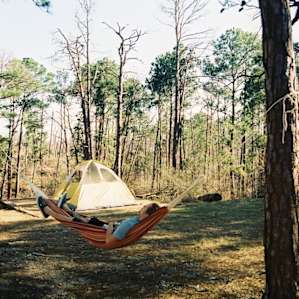 tent forest people