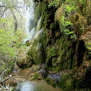 Colorado Bend State Park Campground