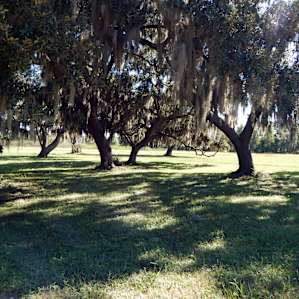 Brazos Bend Brazos Bend