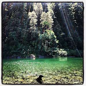 Jedediah Smith Redwoods Jedediah Smith Redwoods