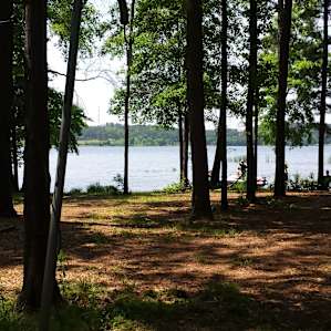 Martin Creek Lake Martin Creek Lake