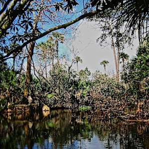 Ocala Ocala