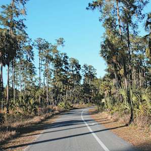 Hillsborough River Campground